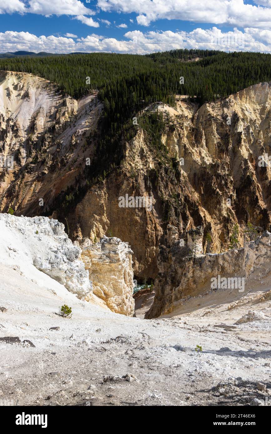 Canyon rim north trail yellowstone hot sale
