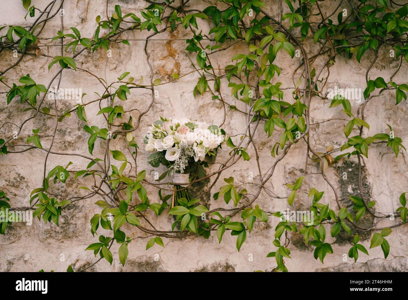 Bride bouquet on the stone wall of an old house entwined with green ivy Stock Photo