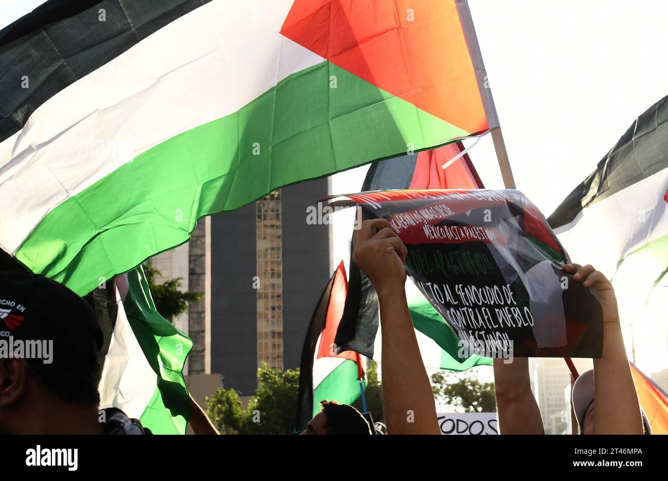Mexico City, Mexico City, Mexico. 28th Oct, 2023. Hundreds of activists are protesting in the streets of Mexico City on Saturday to demand a ceasefire in the Gaza Strip as the United Nations General Assembly convenes an emergency meeting.''We are gathered here while Palestinians in Gaza are under bombs, '' said Permanent Observer of the State of Palestine Riyad Mansour.''They are talking while families are being killed, while hospitals are paralysed, while neighbourhoods are being destroyed, while people are fleeing from place to place with nowhere safe to go.''.''There is no time to mo Stock Photo