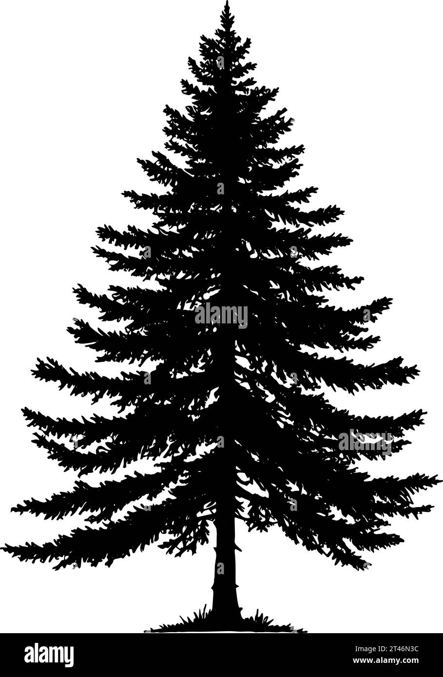Conifer tree silhouette. vector illustration Stock Vector
