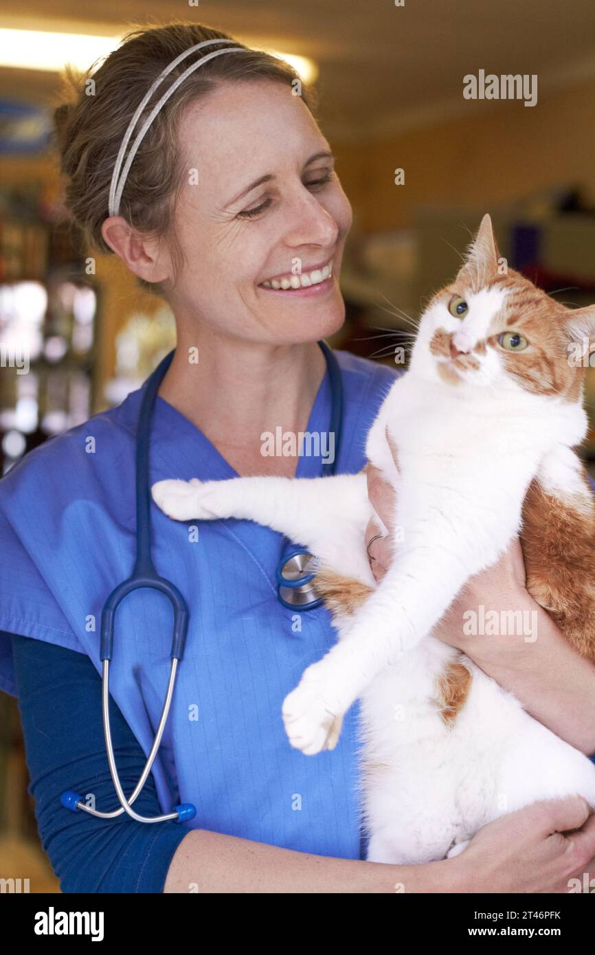 Veterinary, woman and holding cat with smile for healthcare, consultation or health examination at clinic or hospital. Medical, animal or doctor with Stock Photo
