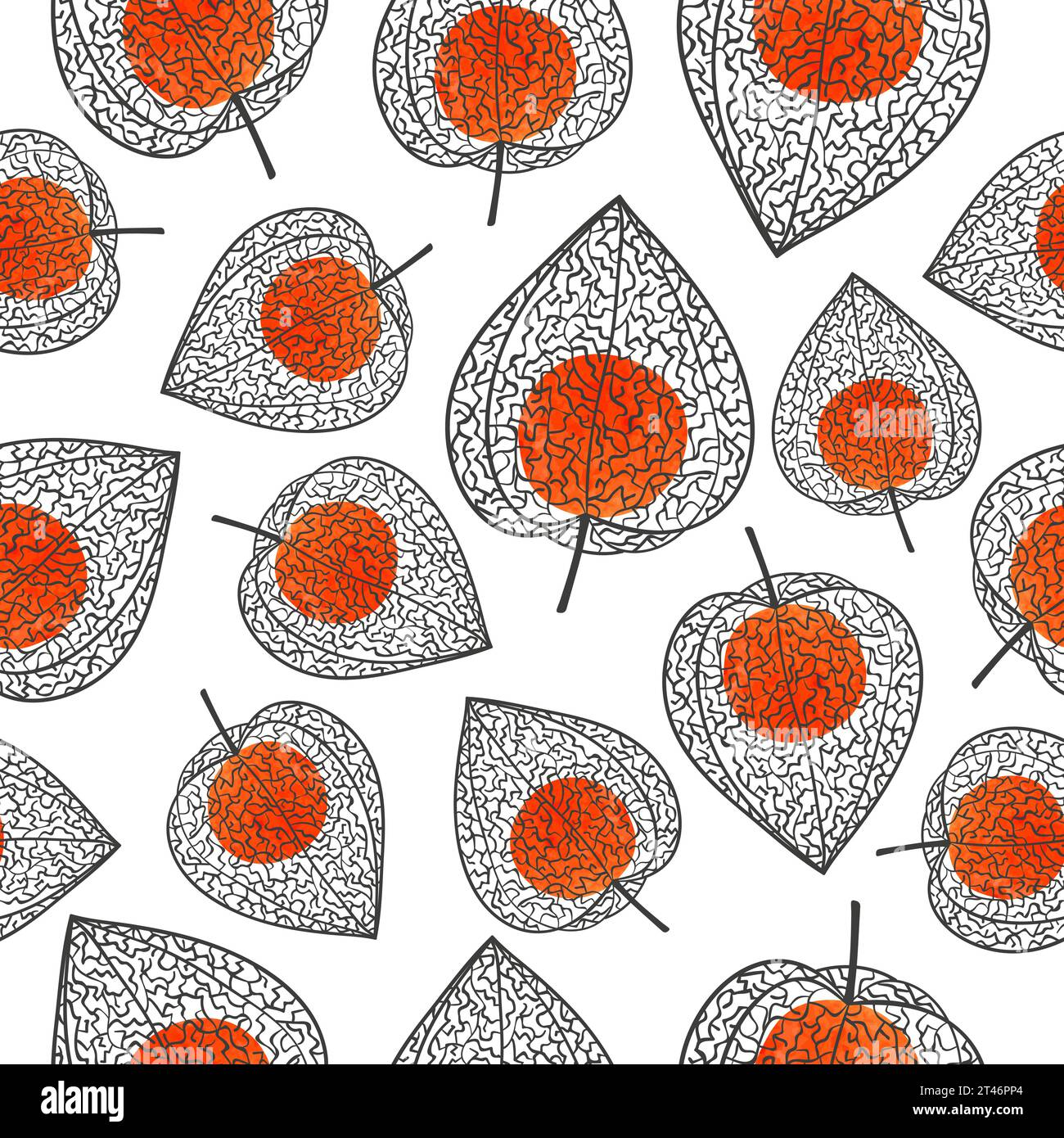 Winter cherry with berry seamless pattern. Physalis vector illustration Stock Vector