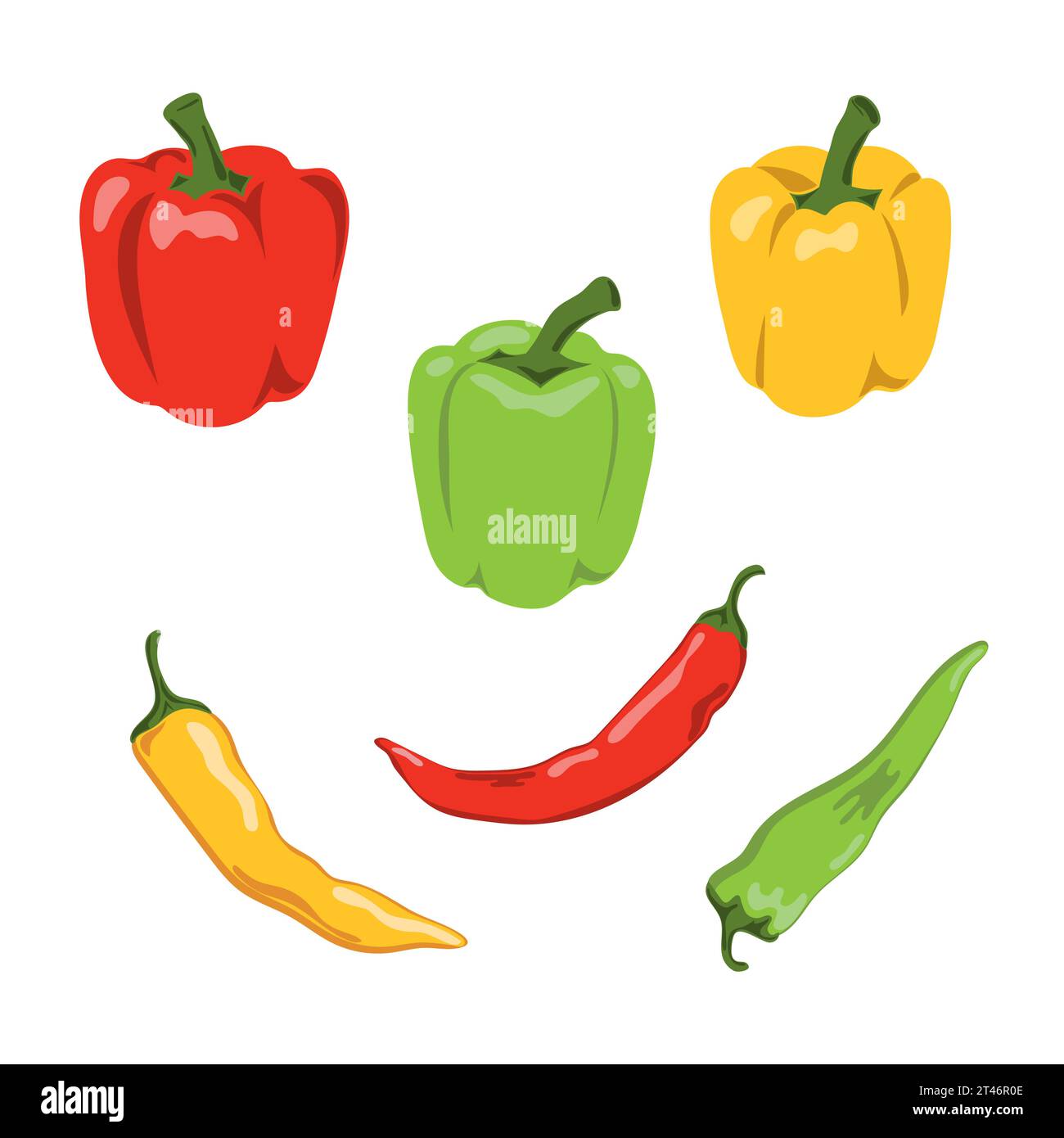Set of colorful peppers. Bell peppers and chili vector illustration