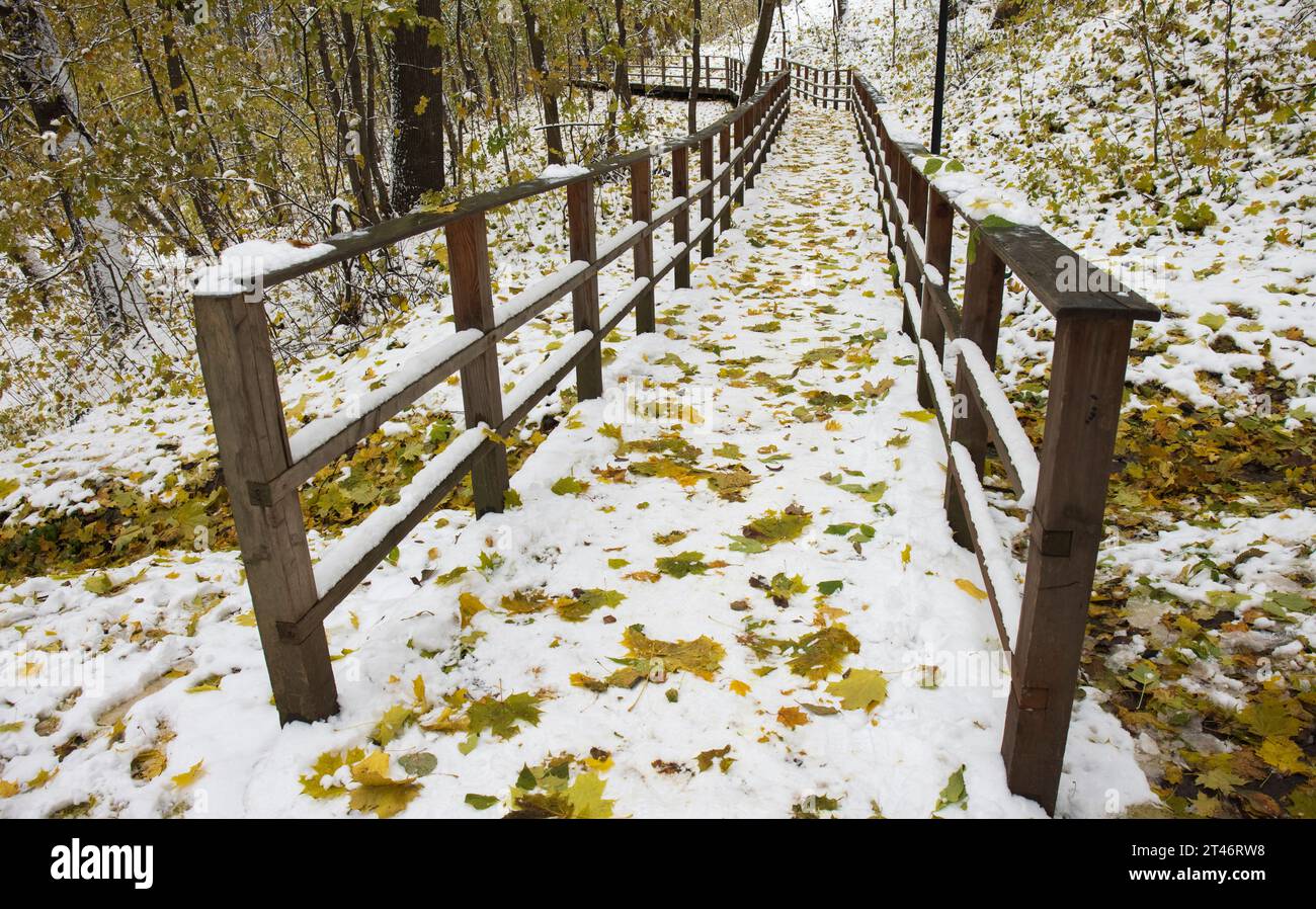 Pathway Through Yellowing Trees in Cold Autumn Day with Snow and ...