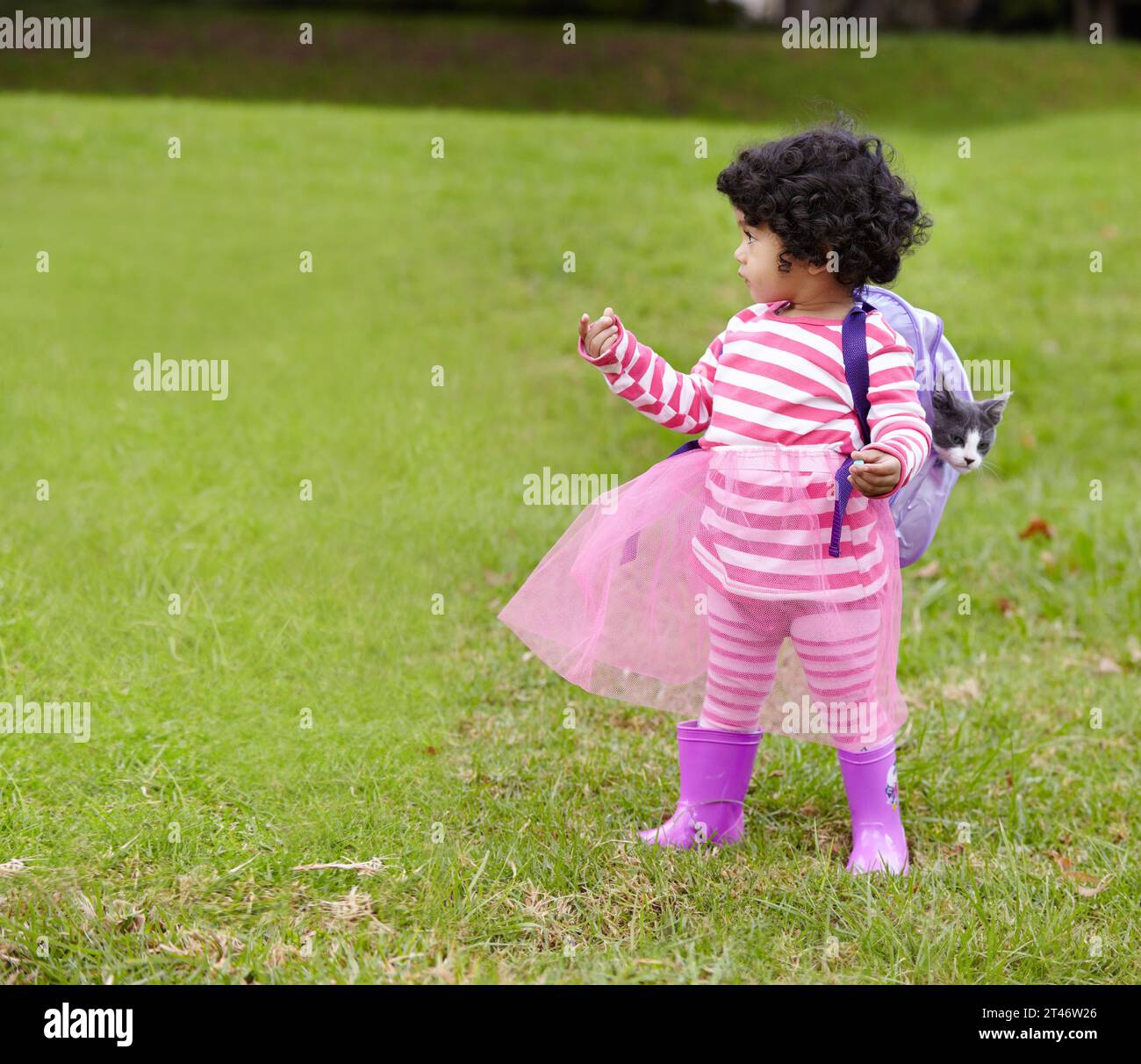 Nature, kitten and girl child with backpack walking on grass in outdoor garden in summer. Confused, backyard and young kid with childhood playing on Stock Photo
