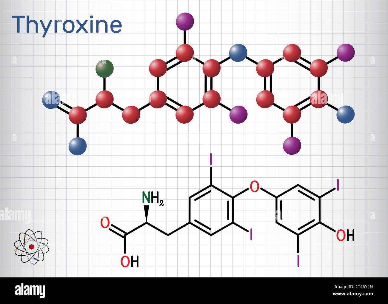 Thyroxine, T4, levothyroxine molecule. It is thyroid hormone, prohormone of thyronine T3. Sheet of paper in a cage. Stock Vector