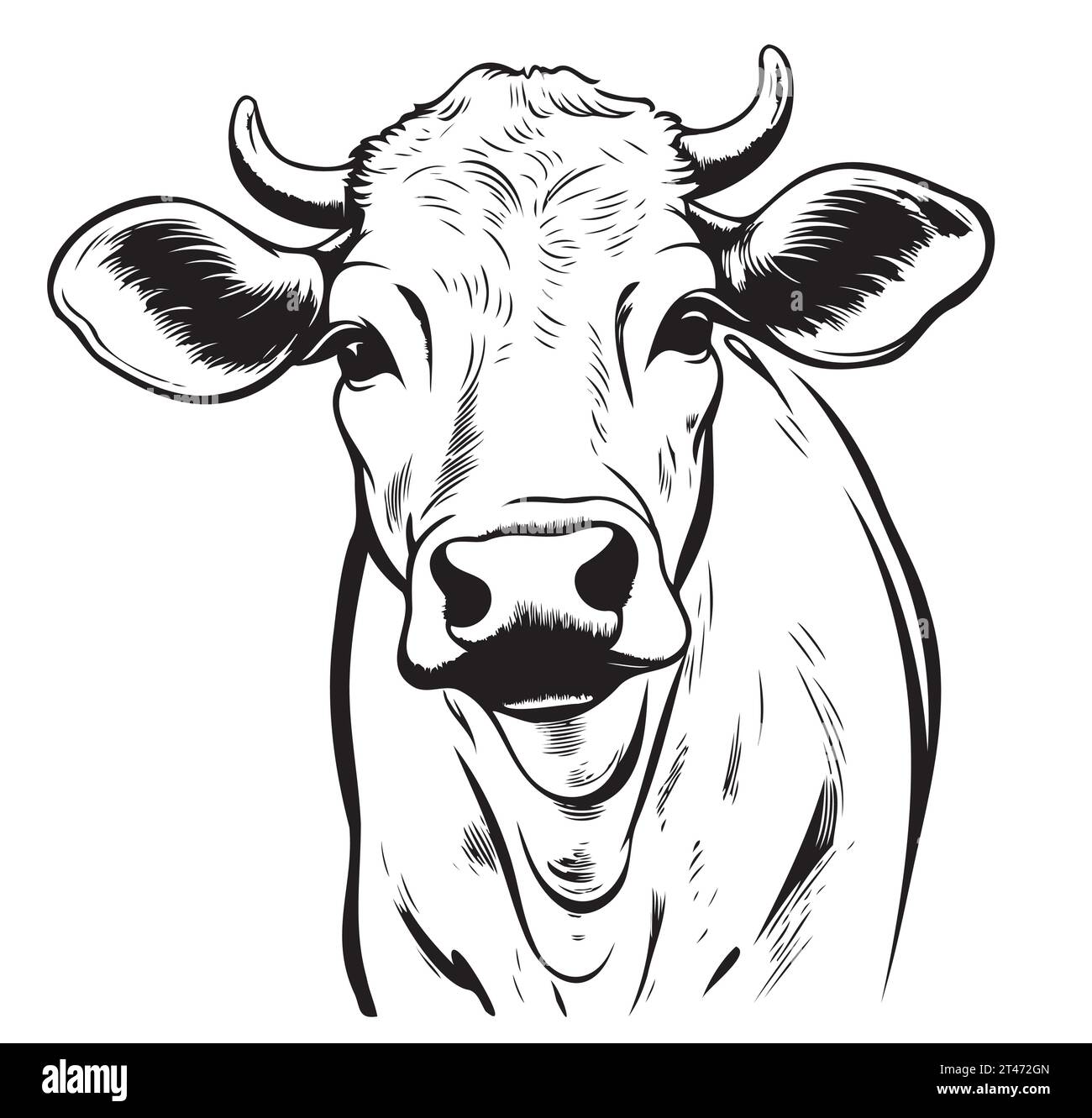 Cow Calf portrait sketch hand drawn Farming and cattle breeding Vector