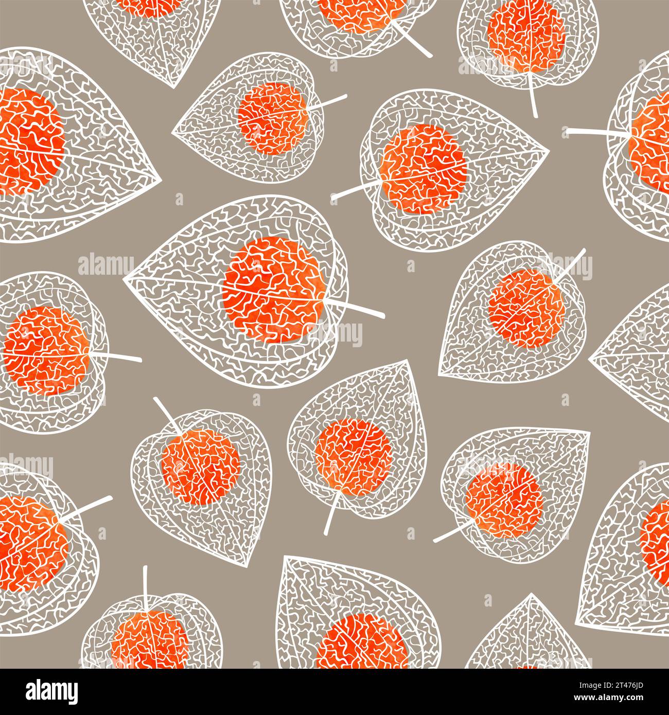 Winter cherry with berry seamless pattern. Physalis vector illustration Stock Vector