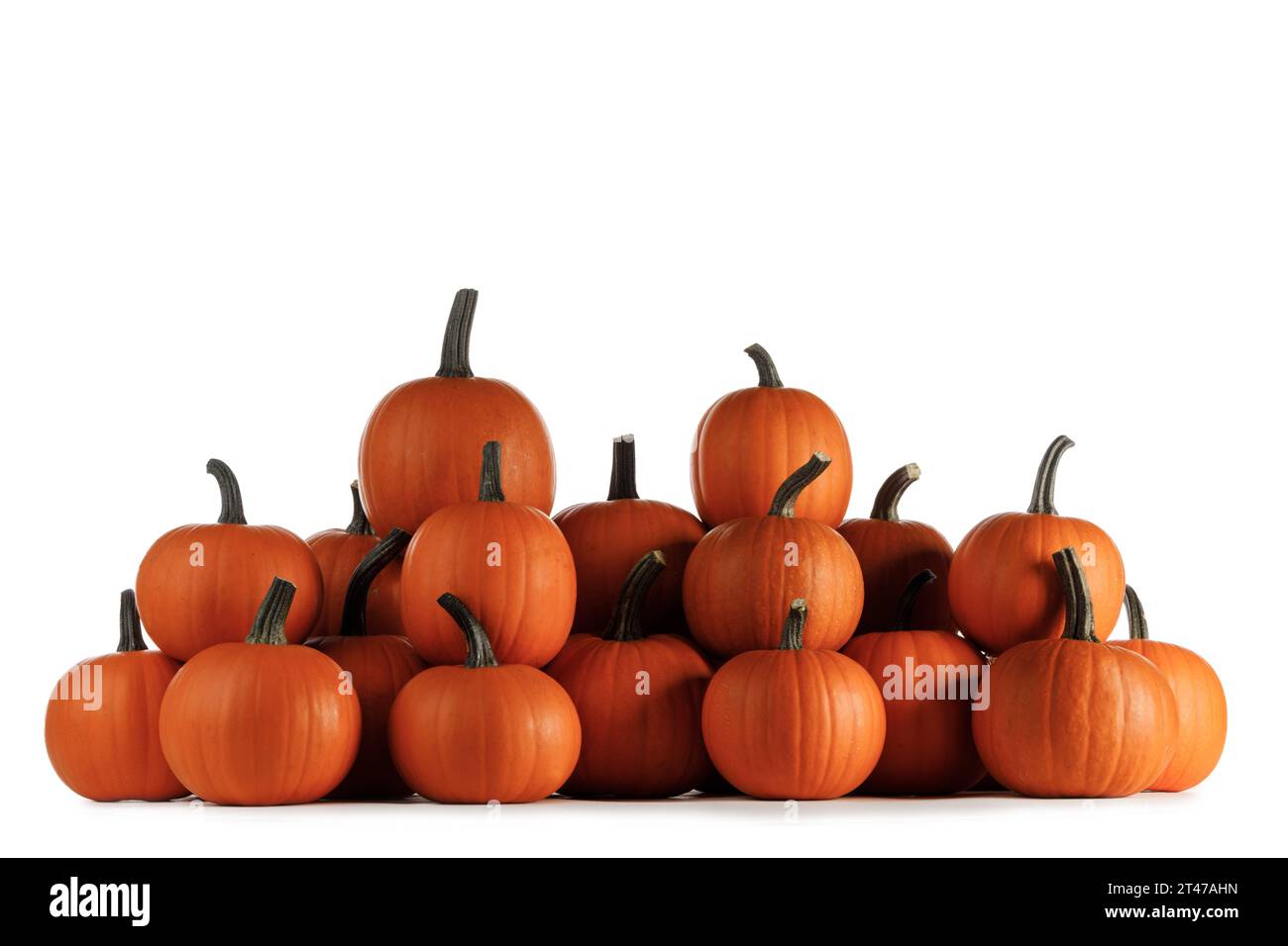 Heap of pumpkins isolated on white background Stock Photo - Alamy