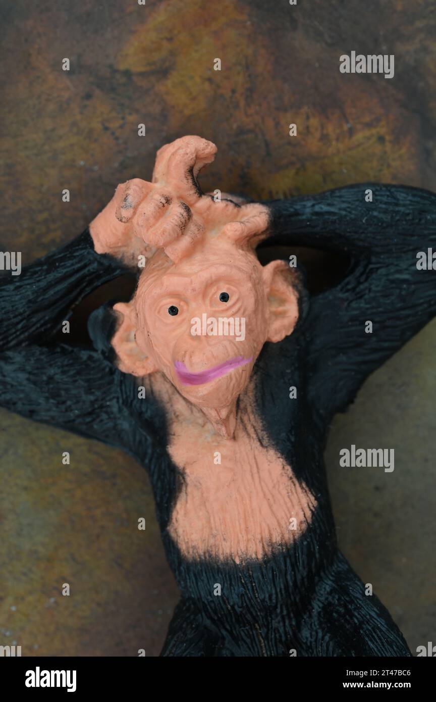 Model of chimpanzee with bewildered expression resting his hands on his head Stock Photo