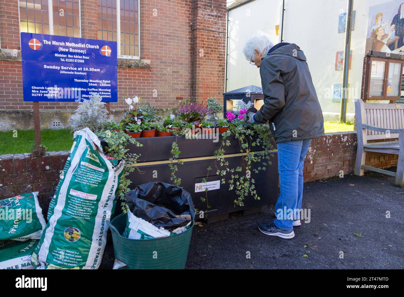 Member of the new romney in bloom community group planting planters on New Romney high street, new romney, kent, uk Stock Photo