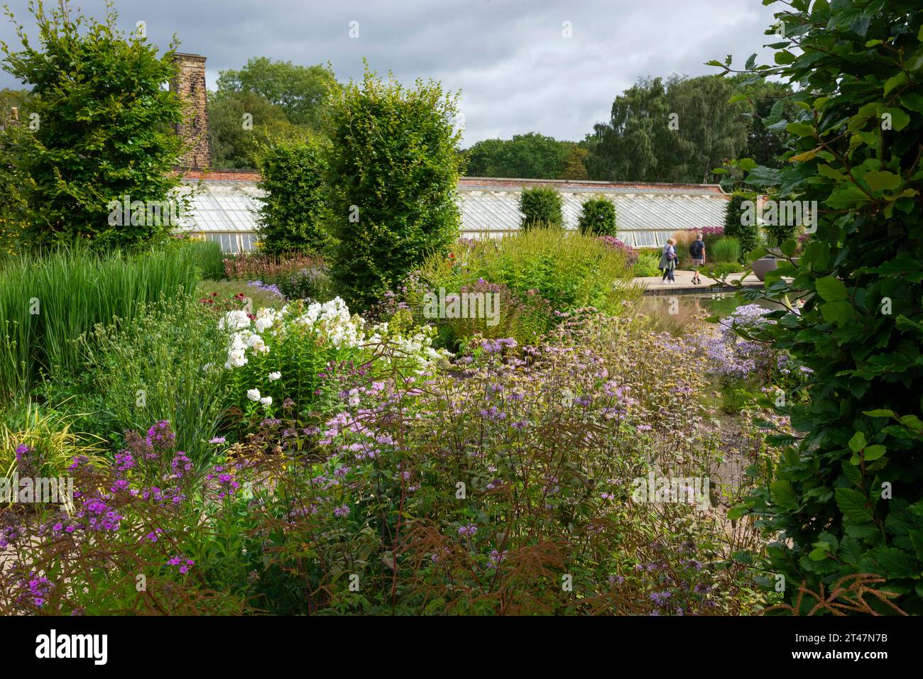 Summer in the gardens at RHS Bridgewater, Worsley, Salford, England. Stock Photo