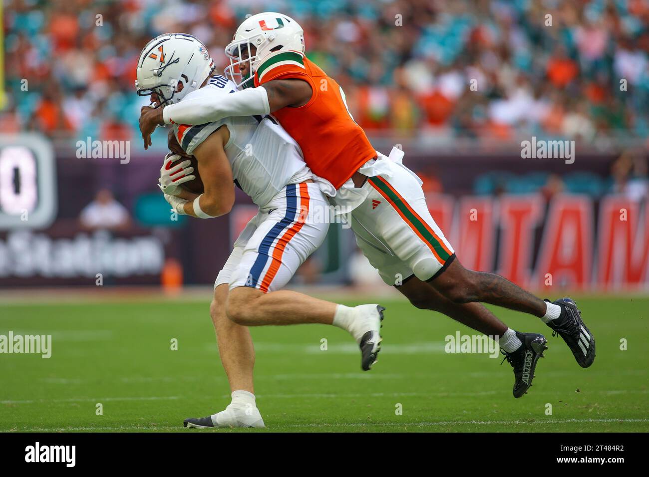 Virginia QB Tony Muskett getting sacked @Miami Hurricanes  v Virginia - ACC, Miami Gardens, Florida, USA 10/28/2023 Photo: Chris Arjoon/Credit Stock Photo