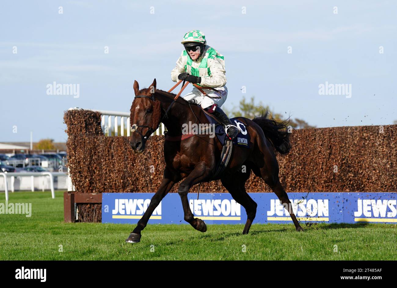 Celebre D'Allen ridden by Elizabeth Gale on the way to winning the Jewson Vieux Lion Rouge Veterans' Handicap Chase at Aintree Racecourse. Picture date: Sunday October 29, 2023. Stock Photo