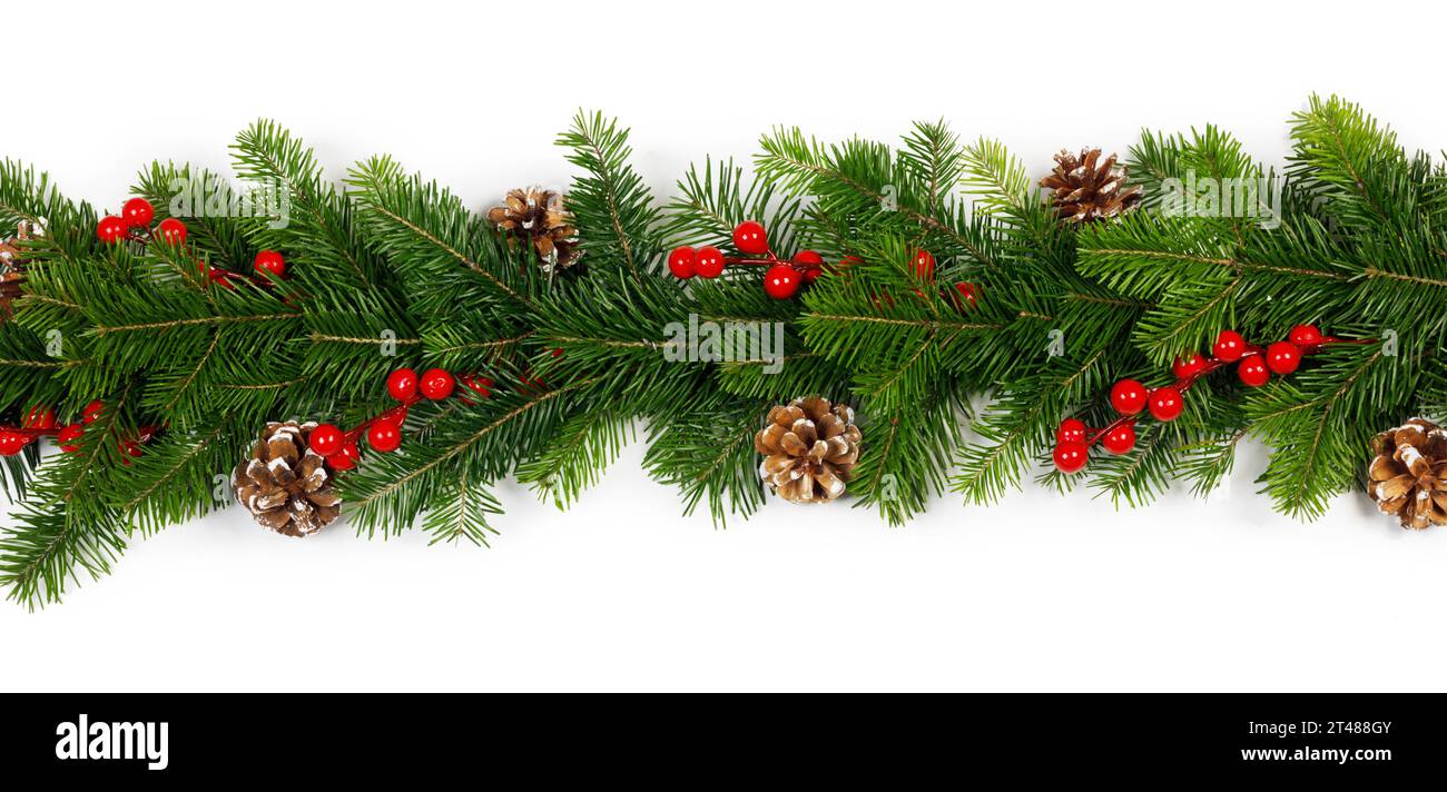 Christmas decoration design element of fir tree branches pine cones and ...