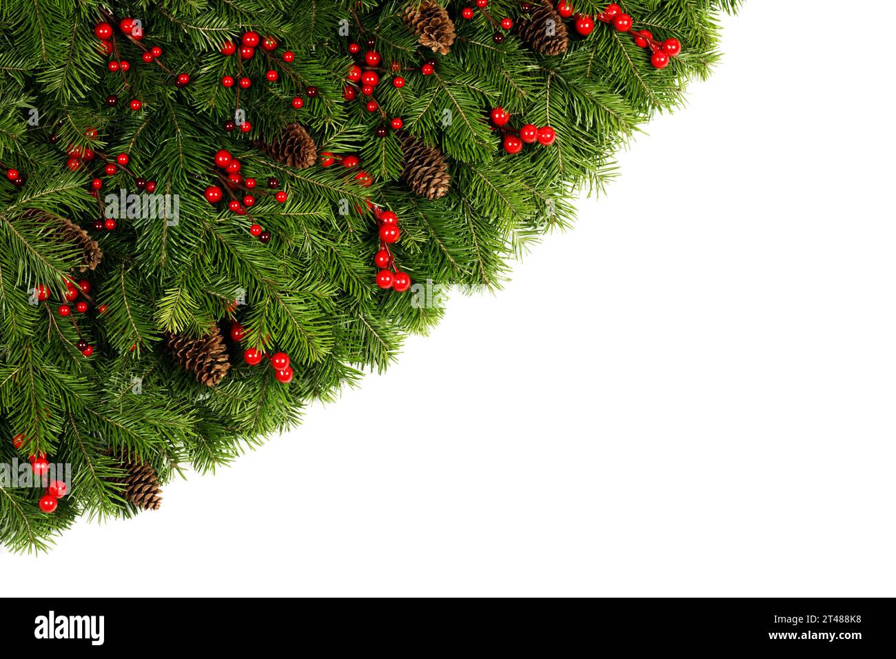 Christmas decoration design element of fir tree branches pine cones and ...