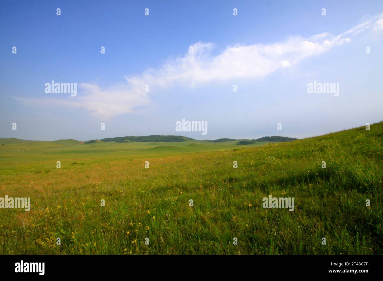 blue sky and white clouds in the WuLanBuTong grassland, closeup of ...
