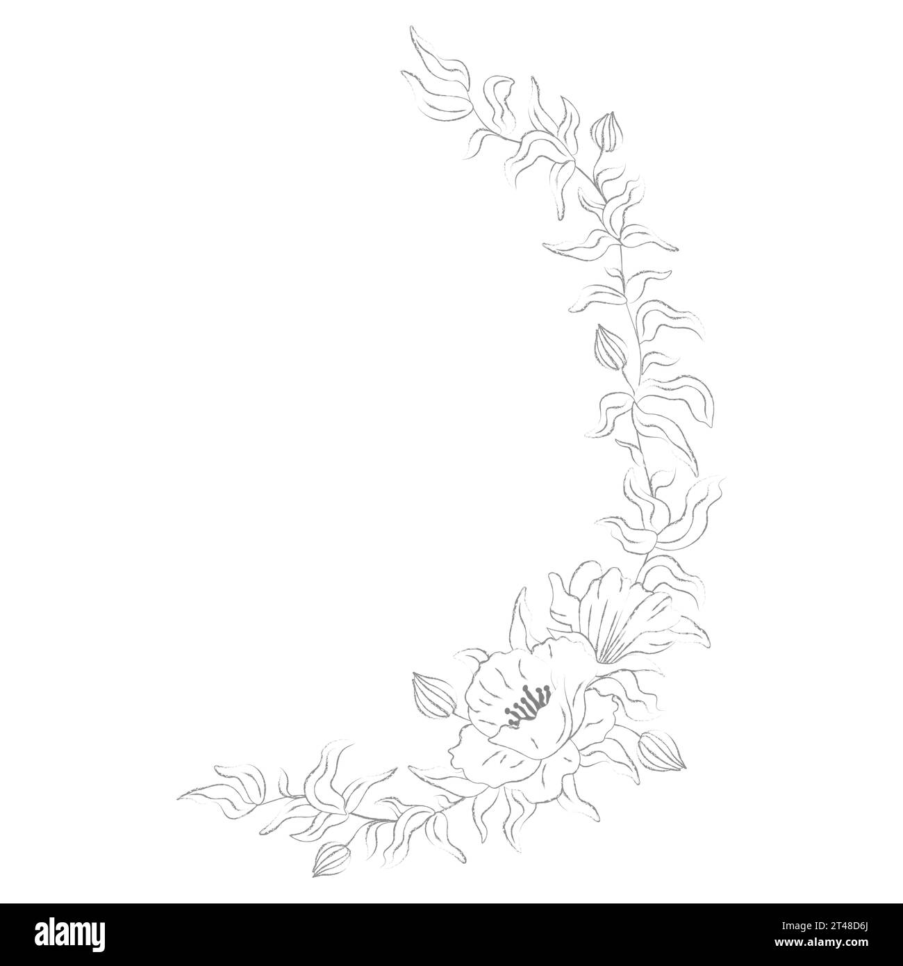 Shadow Flower Line Design minimalist decorative composition of leaves and flowers side pattern ...