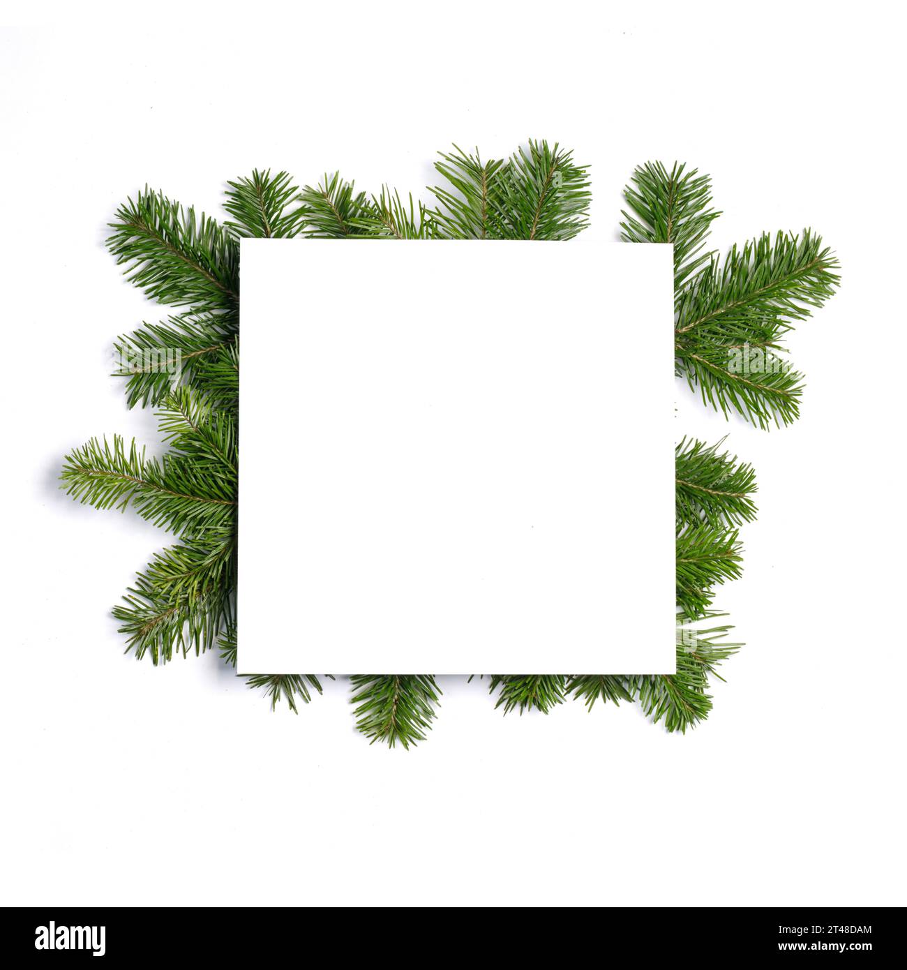 Natural fir Christmas tree border frame isolated on white , copy space ...