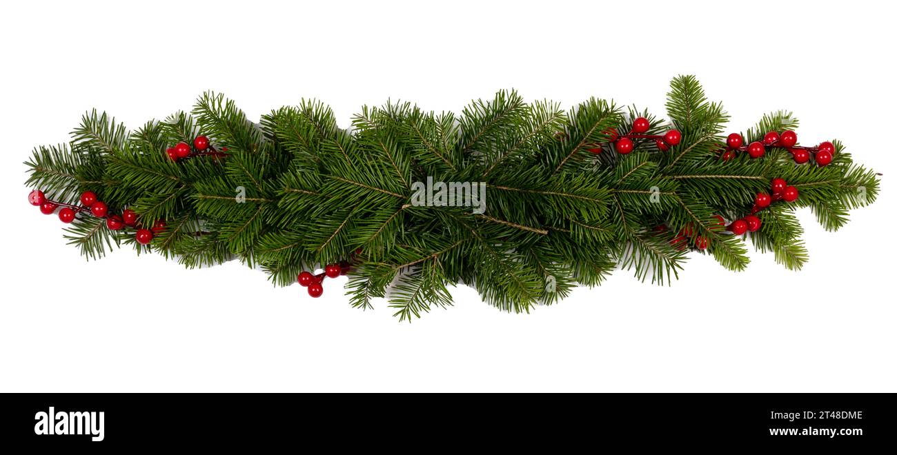 Christmas decoration design element of fir tree branches and red ...