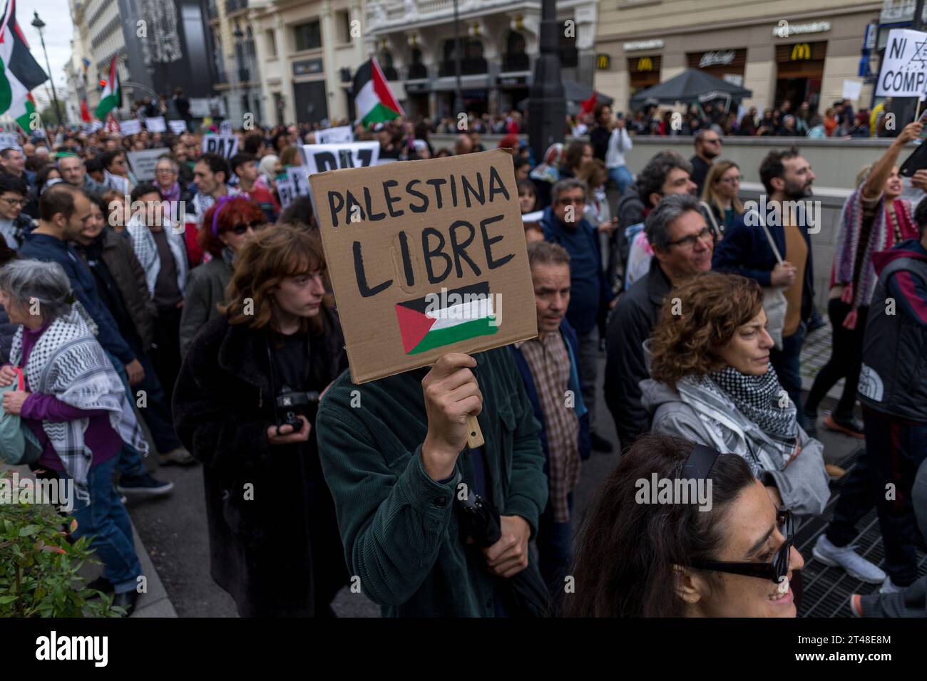 Madrid, Madrid, Spain. 29th Oct, 2023. A man carries a banner that