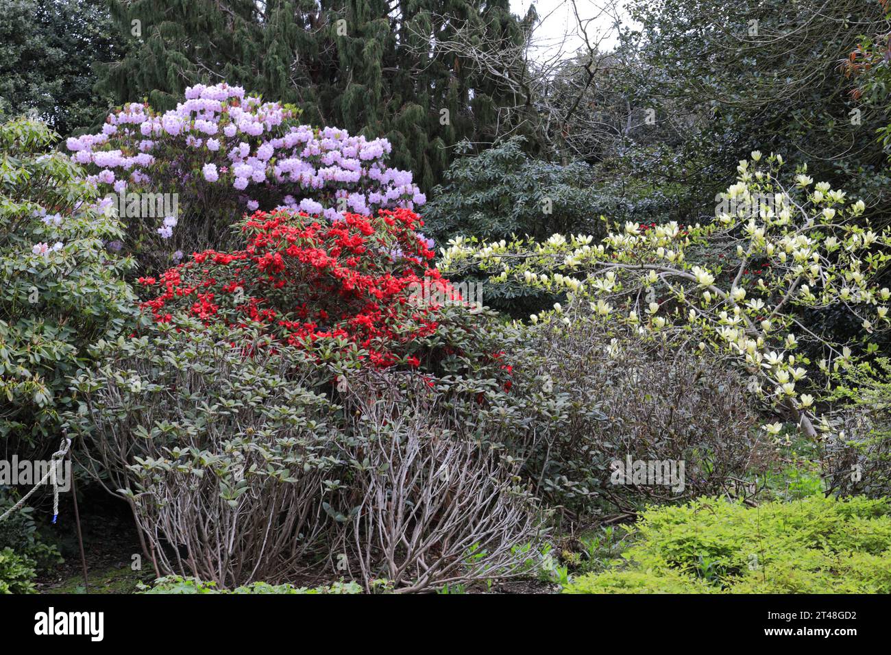 View over the Royal Botanic Gardens Edinburgh (RBGE), Scotland, UK Stock Photo