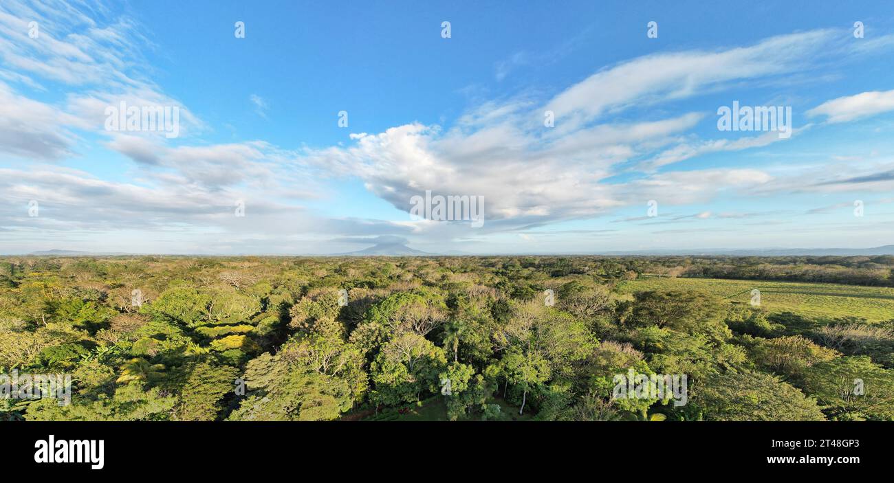 Mombacho volcano on green nature background aerial  drone view on sunset time Stock Photo