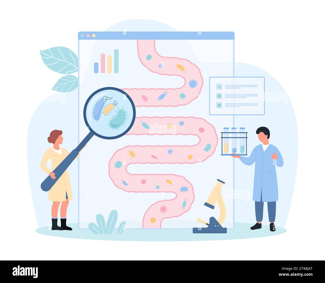 Healthy gut microbiome vector illustration. Cartoon tiny people with magnifying glass check lactobacilli, good microbiota inside human intestine on gastrointestinal tract anatomy infographic diagram Stock Vector