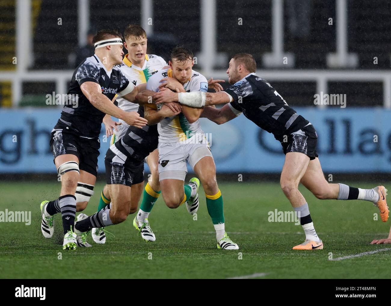 Northampton Saints' Rory Hutchinson powers through during the Gallagher Premiership match at Kingston Park, Newcastle upon Tyne. Picture date: Sunday October 29, 2023. Stock Photo