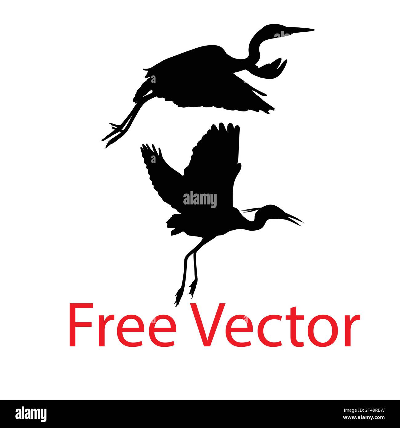 Heron bird silhouette Royalty Free Vector Image Stock Vector Image