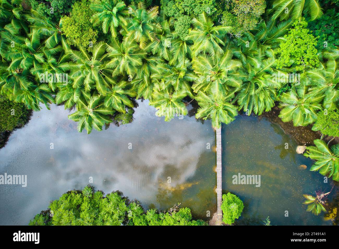 Drone bird eye view at Anse solei beach, bridge over river within forest Mahe Seychelles Stock