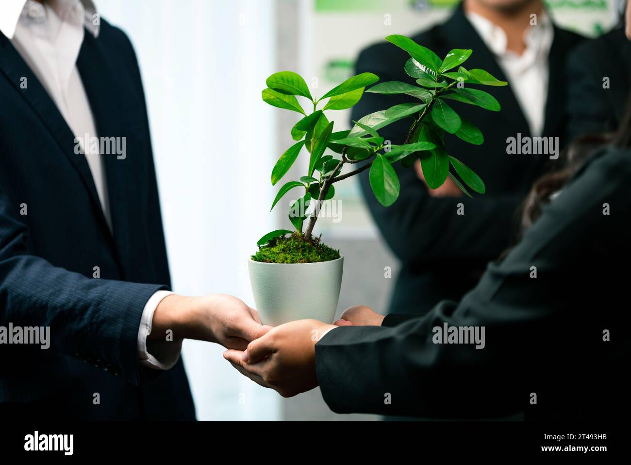 Ecofriendly investment on reforestation by group of business people