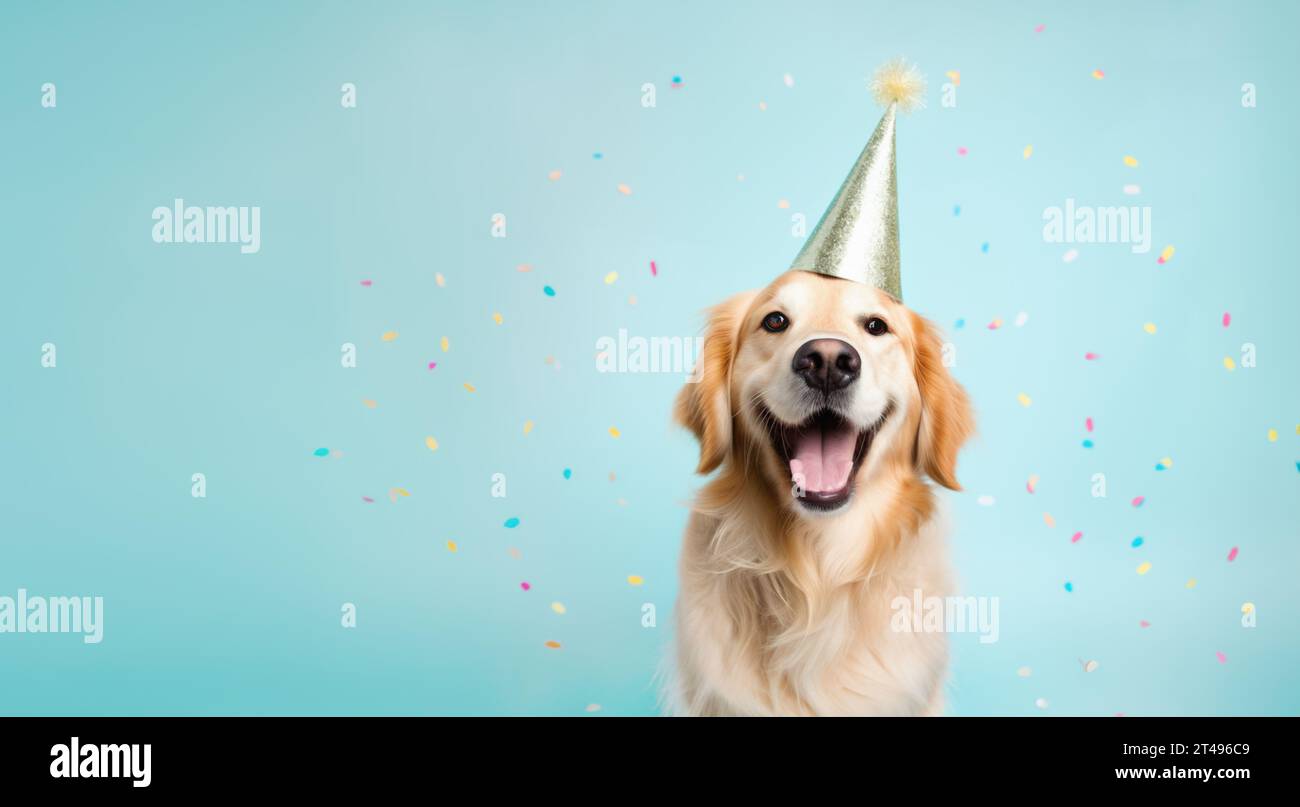 Happy golden retriever dog wearing a party hat celebrating at a