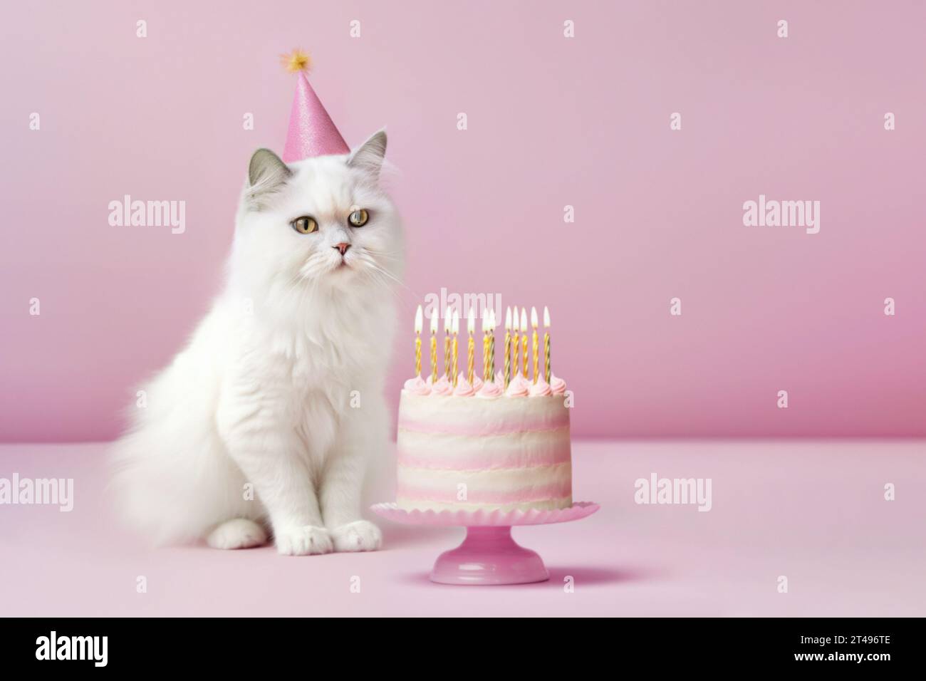 Fluffy white cat wearing a party hat celebrating with a birthday cake ...