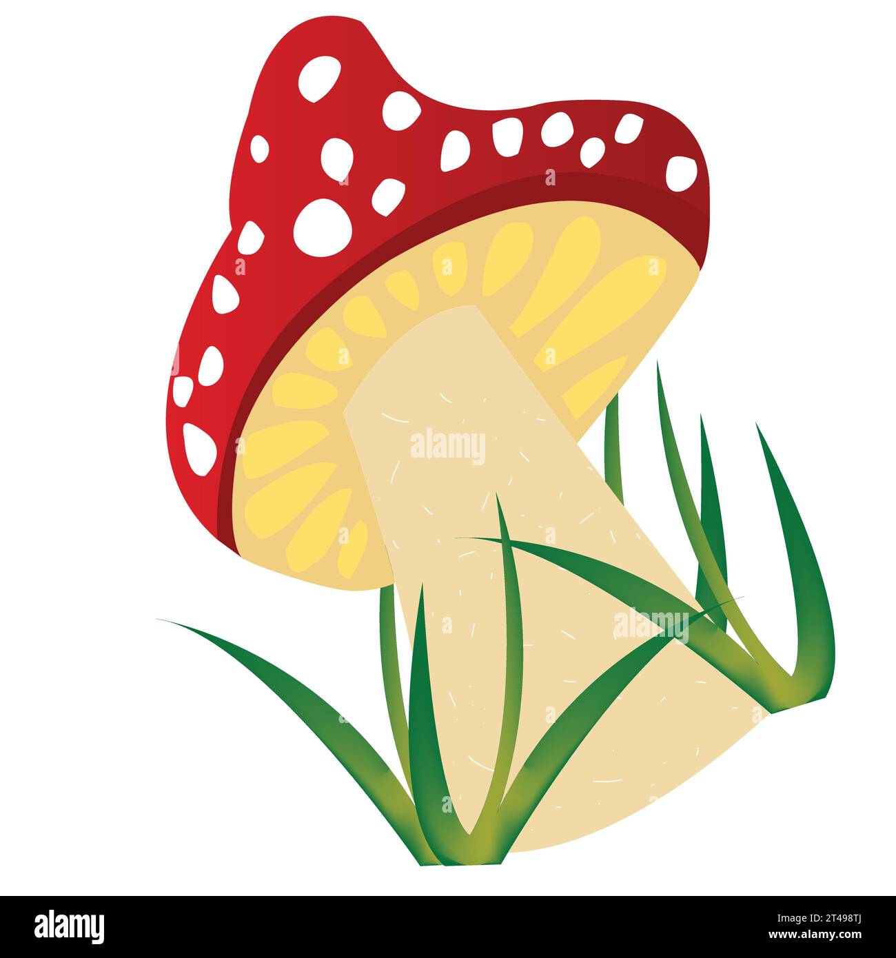 Isolated amanita mushroom design; Single mushroom with red cap and