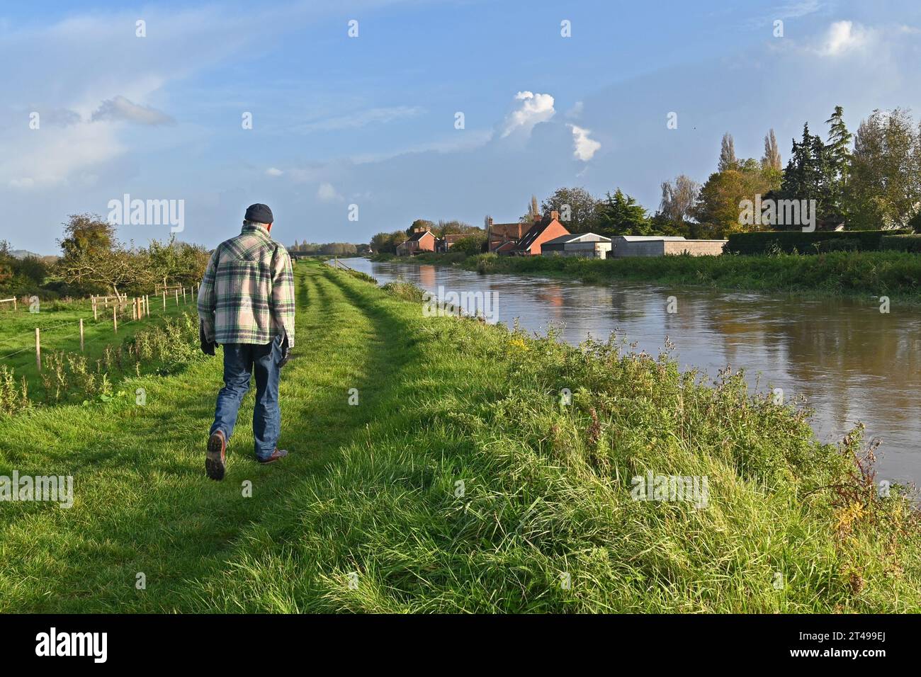 UK Weather. On a mild afternoon a lone walker is seen strolling alongside the River Parrott a village in England, where the the river just reaches the top of the road bridge arch. Picture Credit Robert Timoney/AlamyLiveNews Stock Photo
