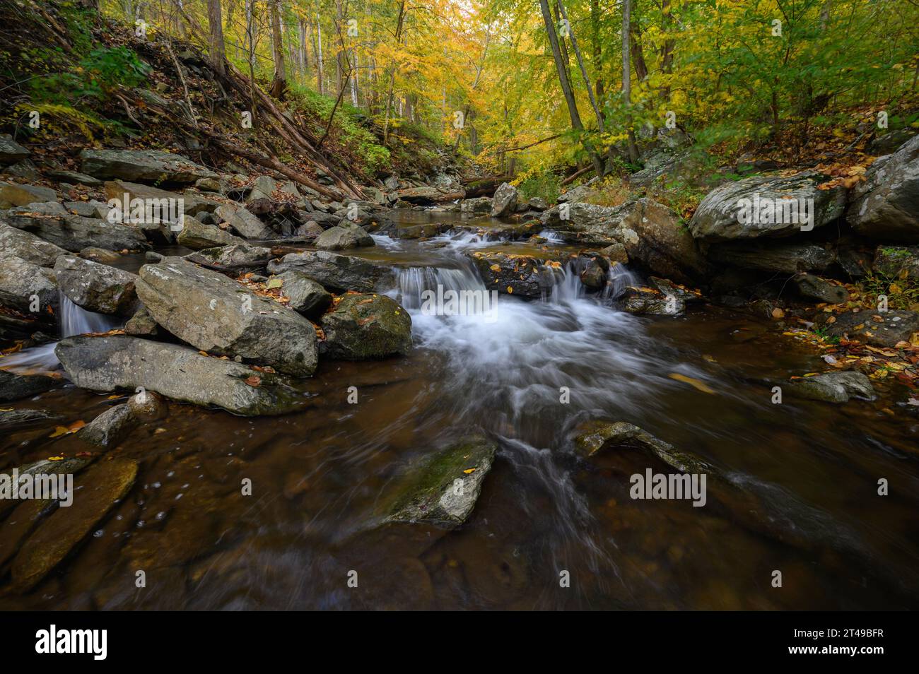 Big Hunting Creek in the Catoctin Mountains surrounded by the autumn colours of the trees in fall. Stock Photo