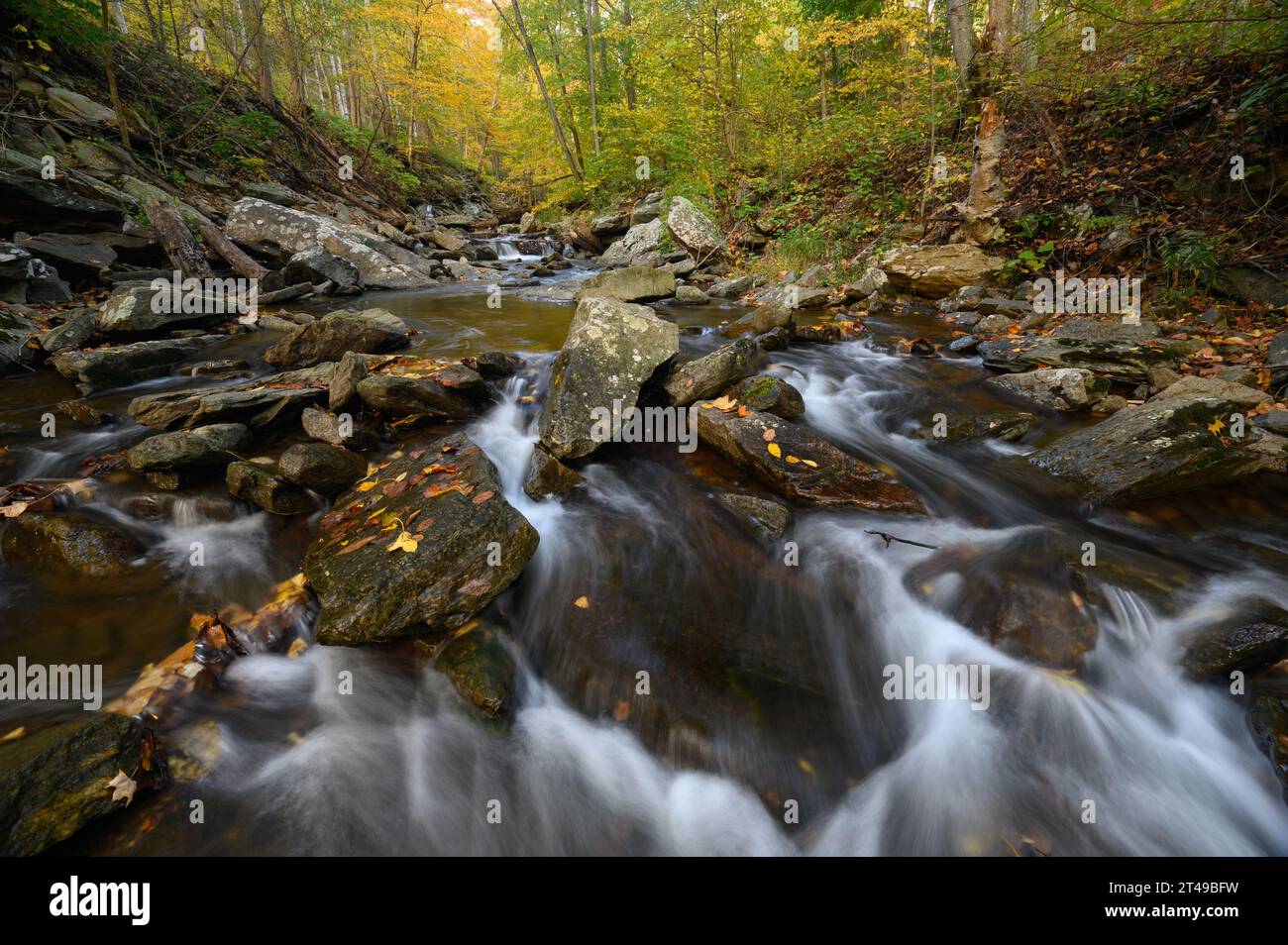 Big Hunting Creek in the Catoctin Mountains surrounded by the autumn colours of the trees in fall. Stock Photo
