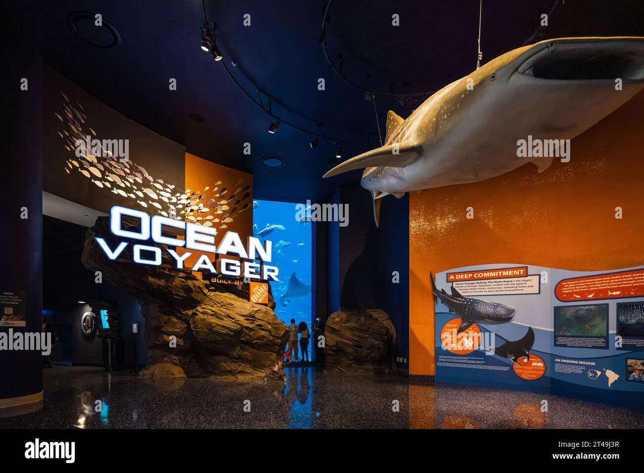 Ocean Voyager exhibit at the Georgia Aquarium provides an up-close view of whale sharks, giant manta rays, and a host of marine life in Atlanta, GA. Stock Photo