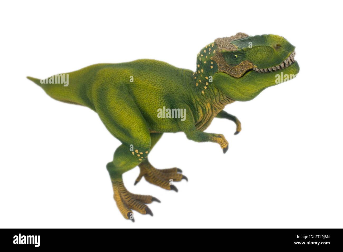 Pachyrhinosaurus Pictures \u0026 Facts - The Dinosaur Database, image size:1300x956