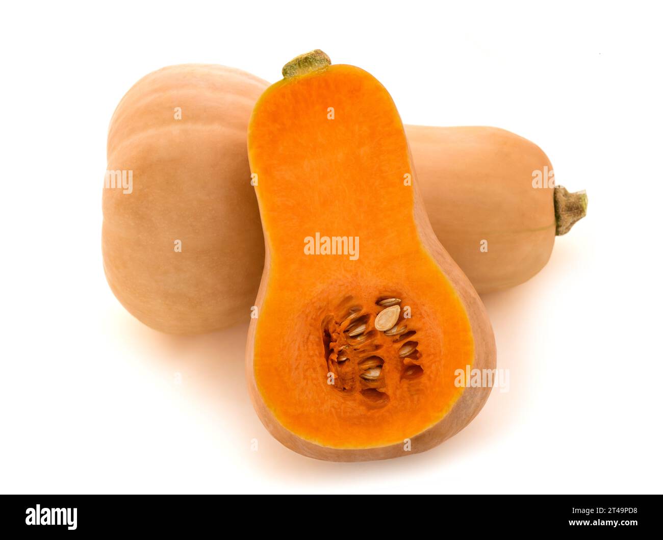 Pumpkins  isolated on white background Stock Photo