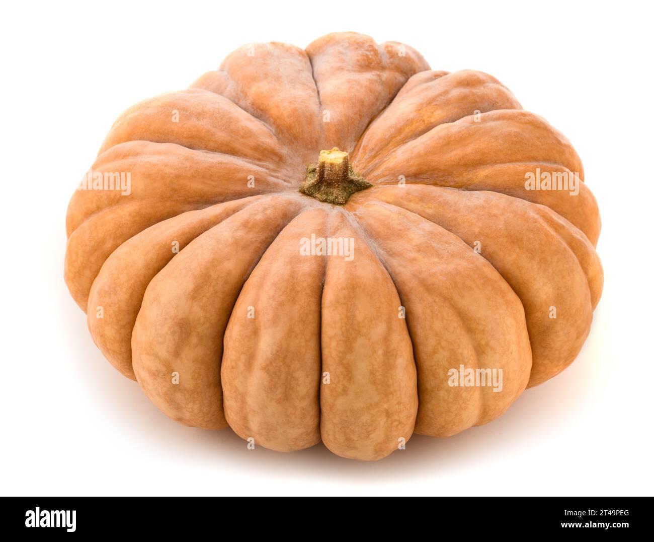 Pumpkin  isolated on white background Stock Photo
