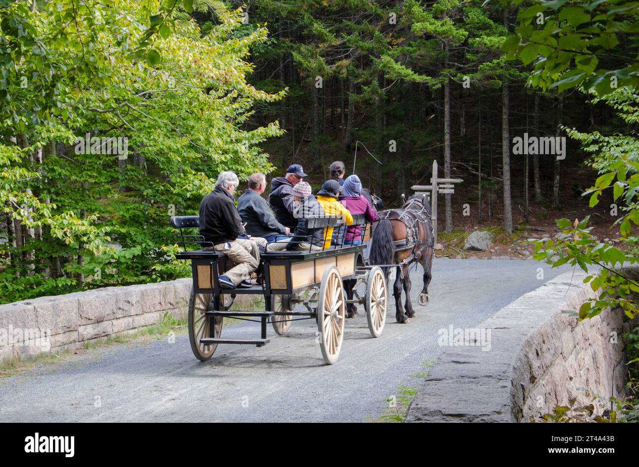 A horse and carriage tour crossing a stone bridge in Acadia National Park, Mount Desert Island