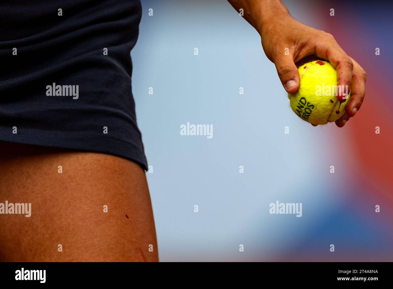 Santiago, Brazil. 29th Oct, 2023. CHILE - SANTIAGO - 10/29/2023 - PAN-AMERICAN GAMES SANTIAGO 2023, TENNIS - Argentine athlete Lourdes Carle in the final of the tennis competition, against Brazilian Laura Pigossi held at Parque Estadio Nacional during the Santiago 2023 Pan-American Games. Photo: Gabriel Heusi/AGIF Credit: AGIF/Alamy Live News Stock Photo