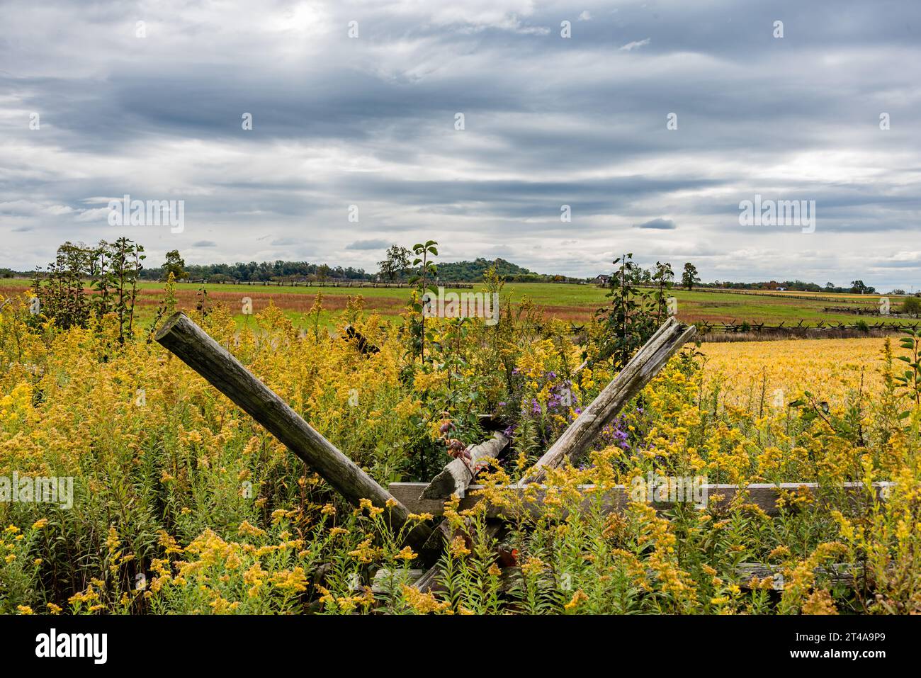 The Round Tops from the Fields of Picketts Charge, Gettysburg
