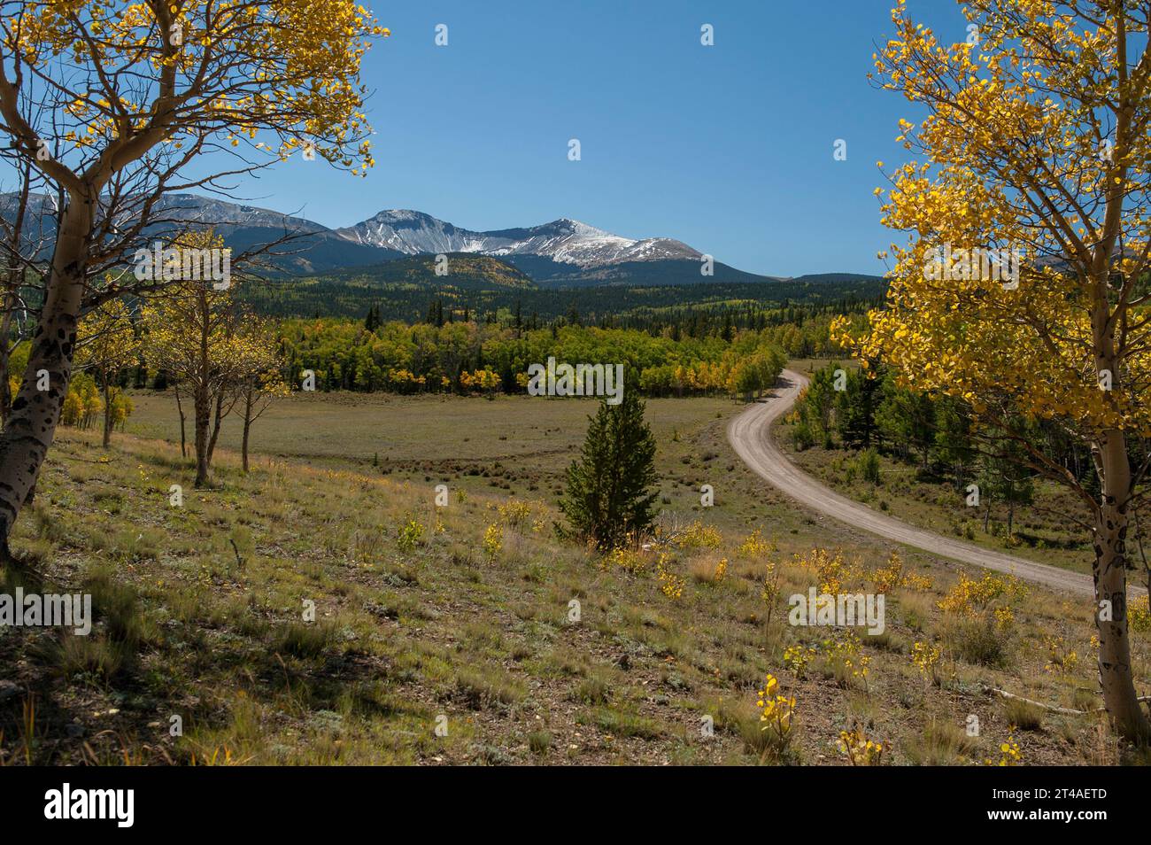 Buffalo Peaks and aspens in color in South Park, Colorado Stock Photo