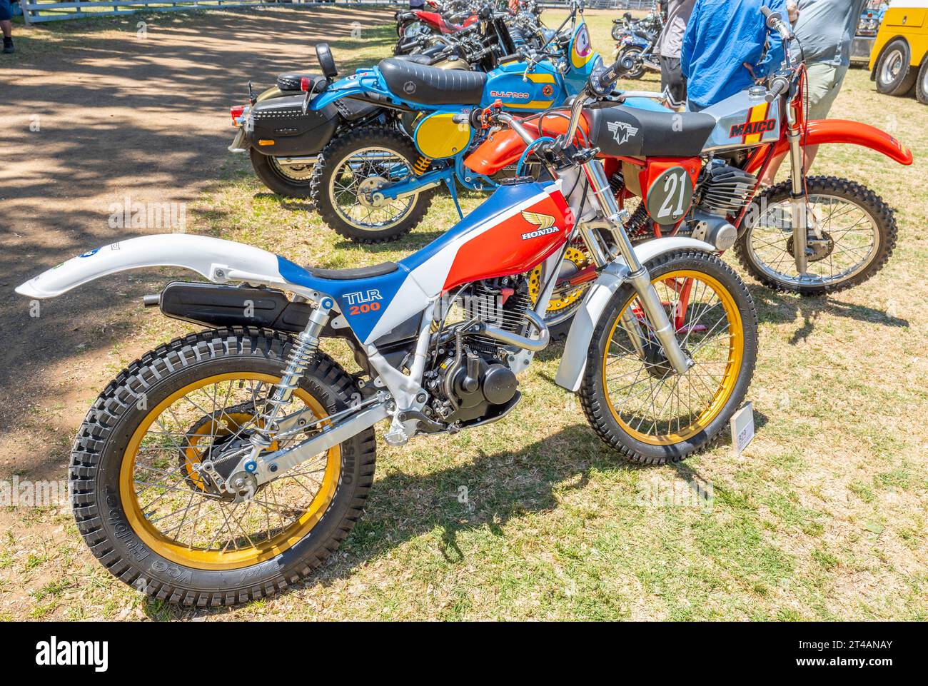 The Honda Reflex (TLR200) is a dual purpose trials motorcycle sold through 1986 to 1987, this restored bike is on show at Glen Innes, northern NSW Stock Photo