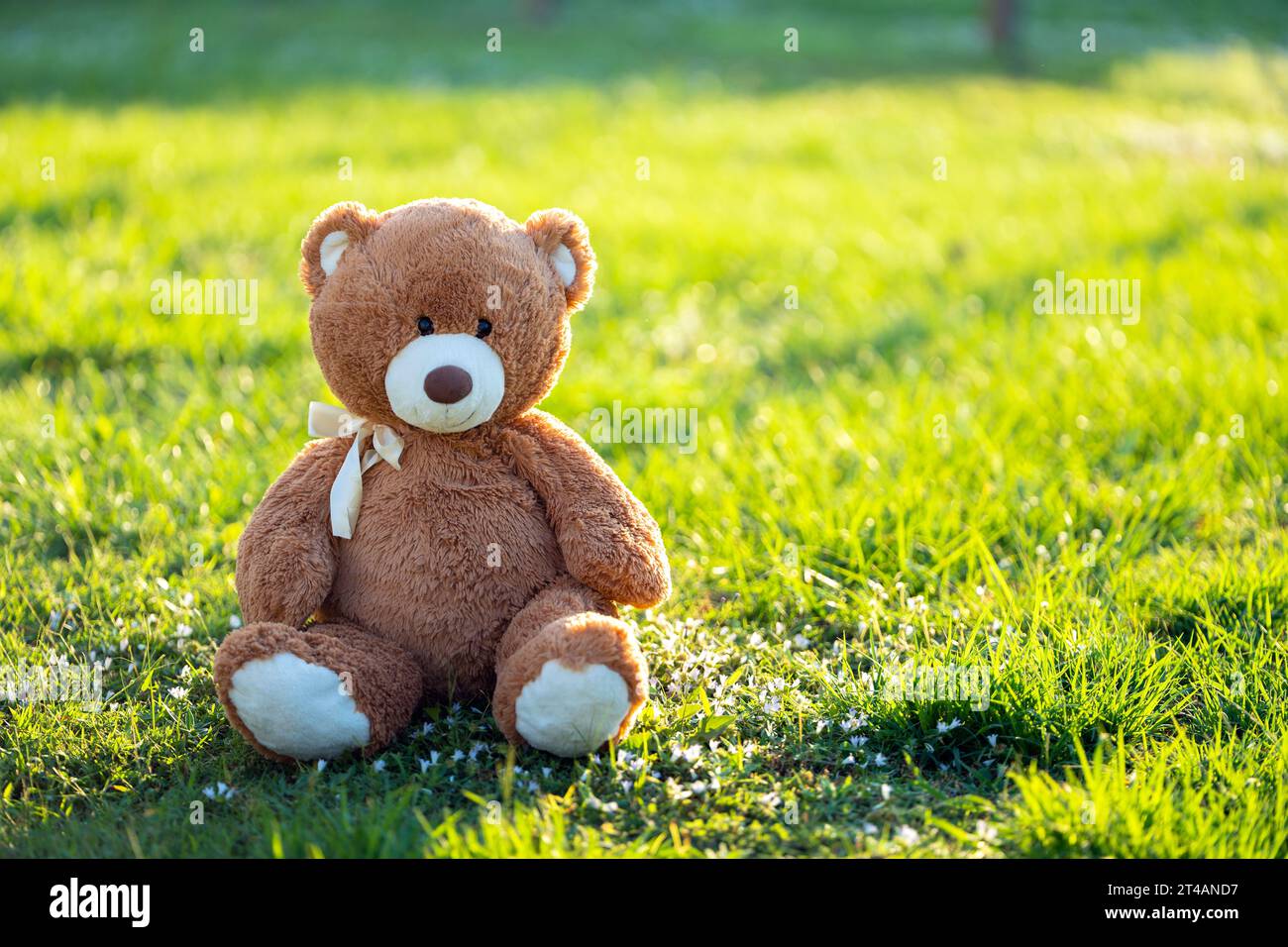 Big plush teddy bear sitting alone on green grass lawn in summer ...