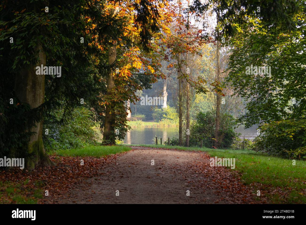 Walking path with autumn atmosphere in the park outdoors Stock Photo