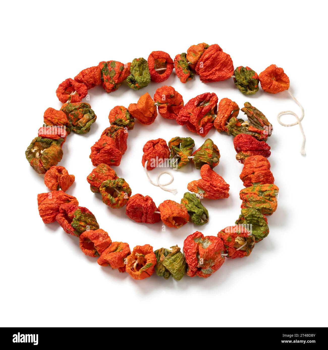 Chain of dried peppers, Biber Kurusu,  isolated on white background close up Stock Photo